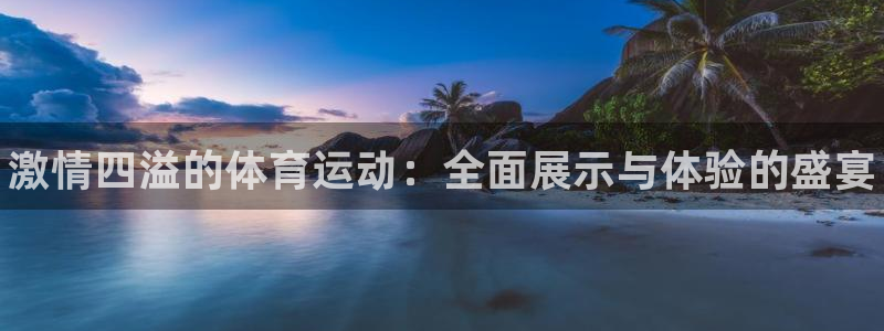 vsport体育官网下载平台是正规平台吗