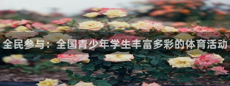 vsport体育官网下载开户