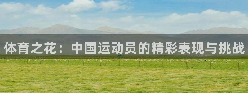 vsport体育官方正版app集团官网网址