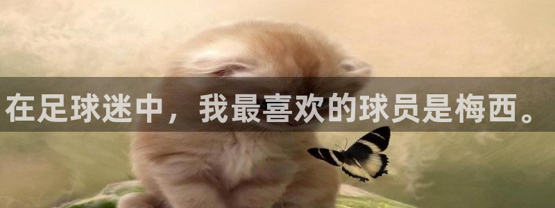 vsport体育官网下载平台是正规平台吗安全吗：在足球迷中，