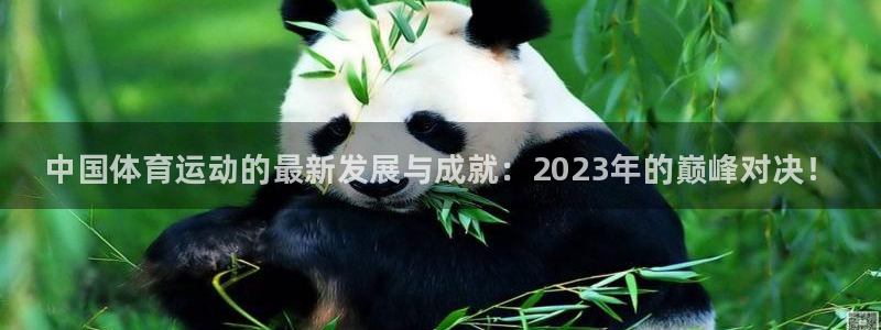 vsport体育官网下载开户