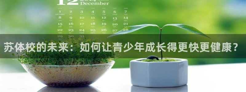 vsport体育官网下载平台是正规平台吗安全吗