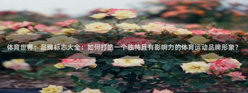 vsport体育官网下载招商电话