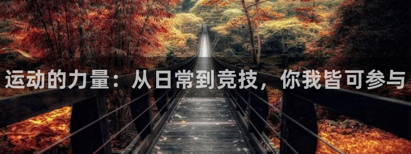 vsport体育官网下载平台注册流程图：运动的力量：