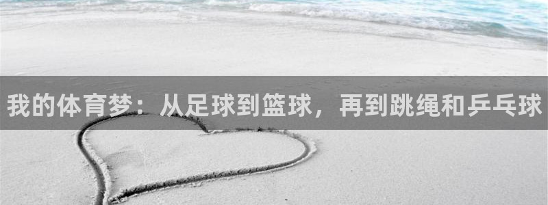 vsport体育官网下载：我的体育梦：从足球到篮球，