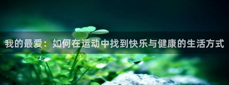 vsport体育官网下载平台是正规平台吗知乎：我的最爱：如何