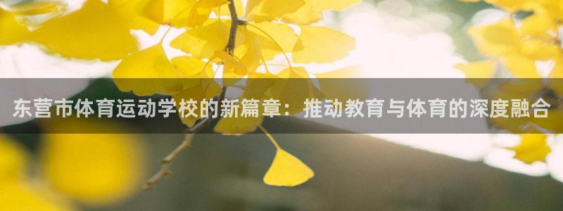 vsport体育官方正版app娱乐40996：东营市体育运动