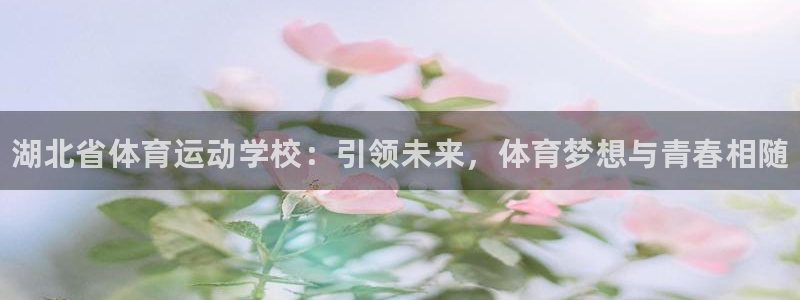 vsport体育官方正版app集团logo