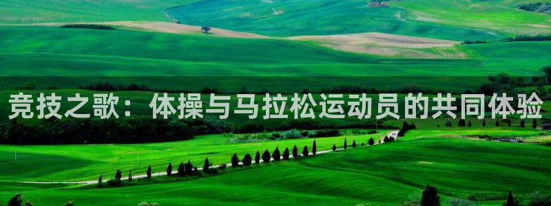 vsport体育官方正版app集团官网首页