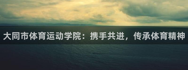 vsport体育官方正版app集团官网首页：大同市体