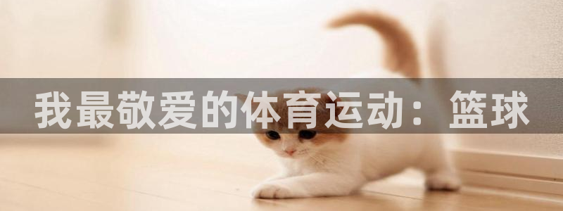 vsport体育官方集团官网：我最敬爱的体育运动：篮球