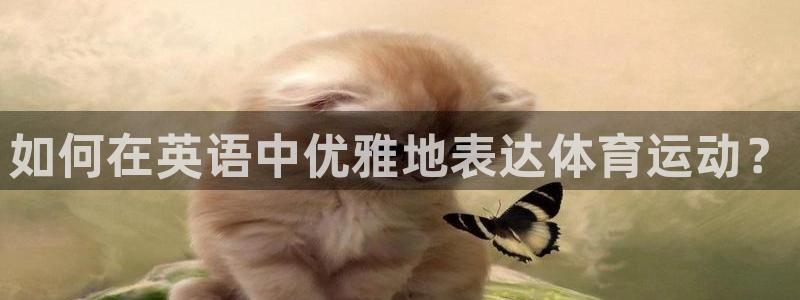 vsport体育官网下载开户：如何在英语中优雅地表达