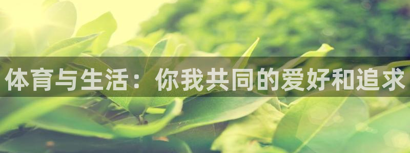 vsport体育官网下载招商电话是多少号码：体育与生活：你我