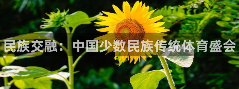 vsport体育官网下载平台注册流程视频：民族交融：中国少数