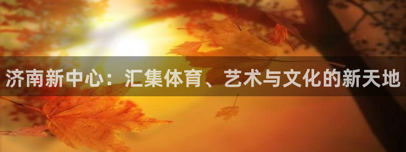 vsport体育官方正版app娱乐首页官网下载：济南新中心：