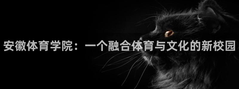 vsport体育官方集团官网：安徽体育学院：一个融合