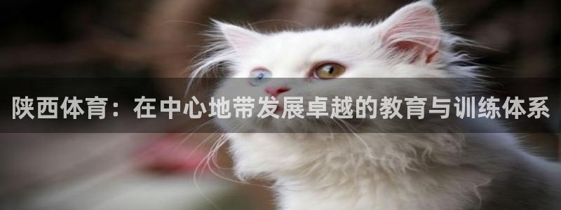 vsport体育官网下载招商电话地址查询：陕西体育：在中心地