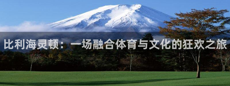 注册vsport体育官方正版app：比利海灵顿：一场融合体育