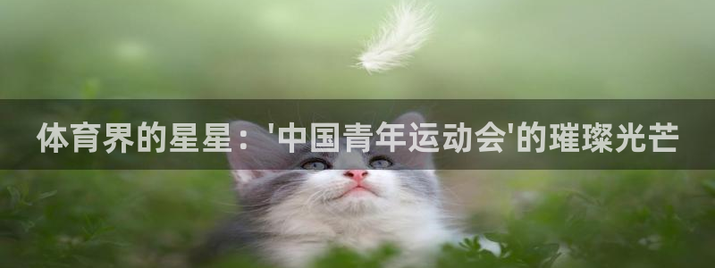 vsport体育官网下载招商电话号码是多少啊：体育界的星星：