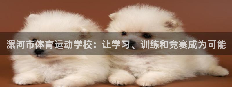 海南vsport体育官网下载