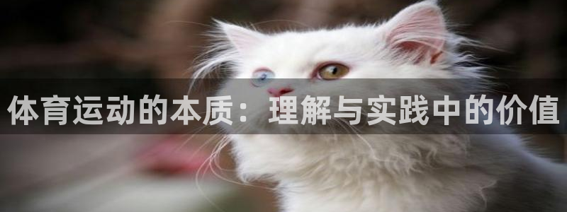 vsport体育官方正版app娱乐代理怎么样：体育运动的本质