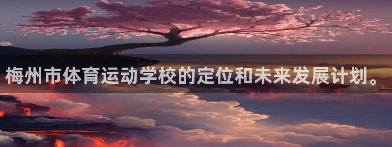 vsport体育官方正版app新能源