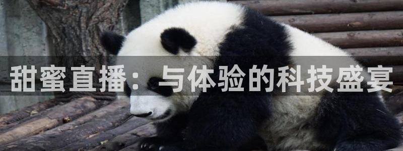 9255tv直播无插件nba