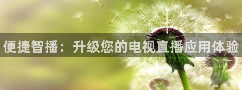 9255tv直播无插件nba