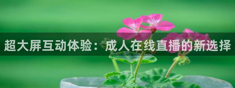 9255tv直播nba在线观看