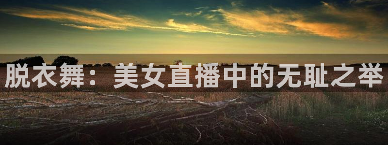 9255tv直播无插件nba：脱衣舞：美女直播中的无耻之举