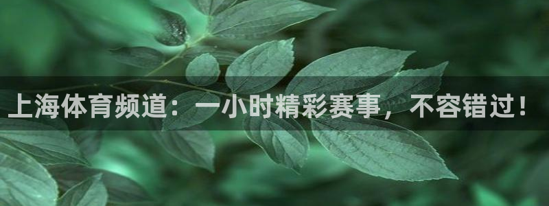 9255tv直播无插件nba：上海体育频道：一小时精彩赛事，不容错过！