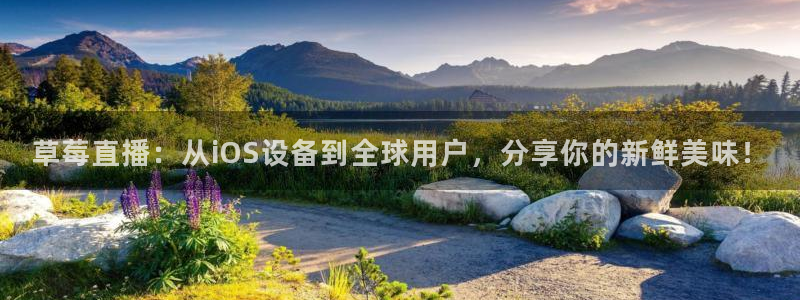 9255tv直播nba在线直播：草莓直播：从iOS设备到全球用户，分享你的新鲜美味！